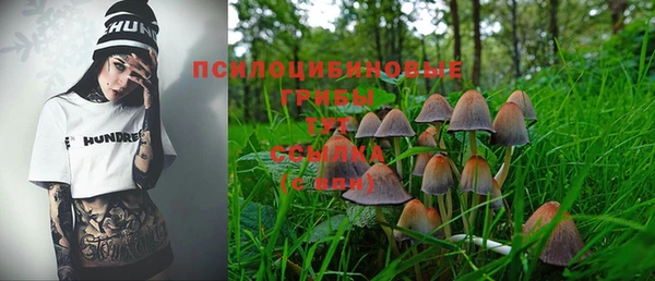 ECSTASY Алексин