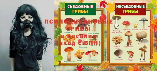 Альфа ПВП Алзамай
