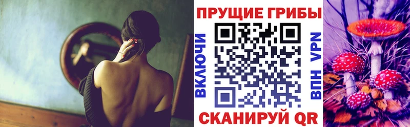 Галлюциногенные грибы Cubensis Серов