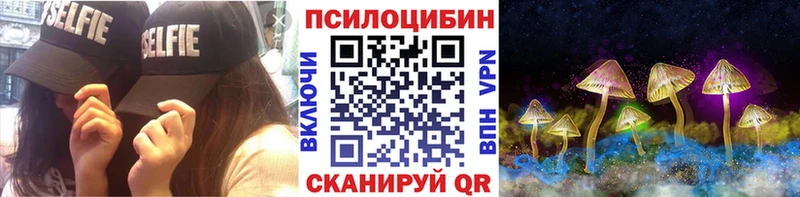 купить  цена  Серов  Галлюциногенные грибы Psilocybine cubensis 